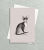 Gift Cards for Cat People Anna
