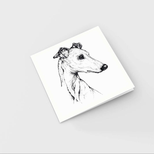 Gavia Greeting Card