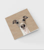 Louis Greeting Cards