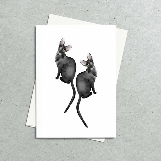 Gift Cards for Cat People Sirus