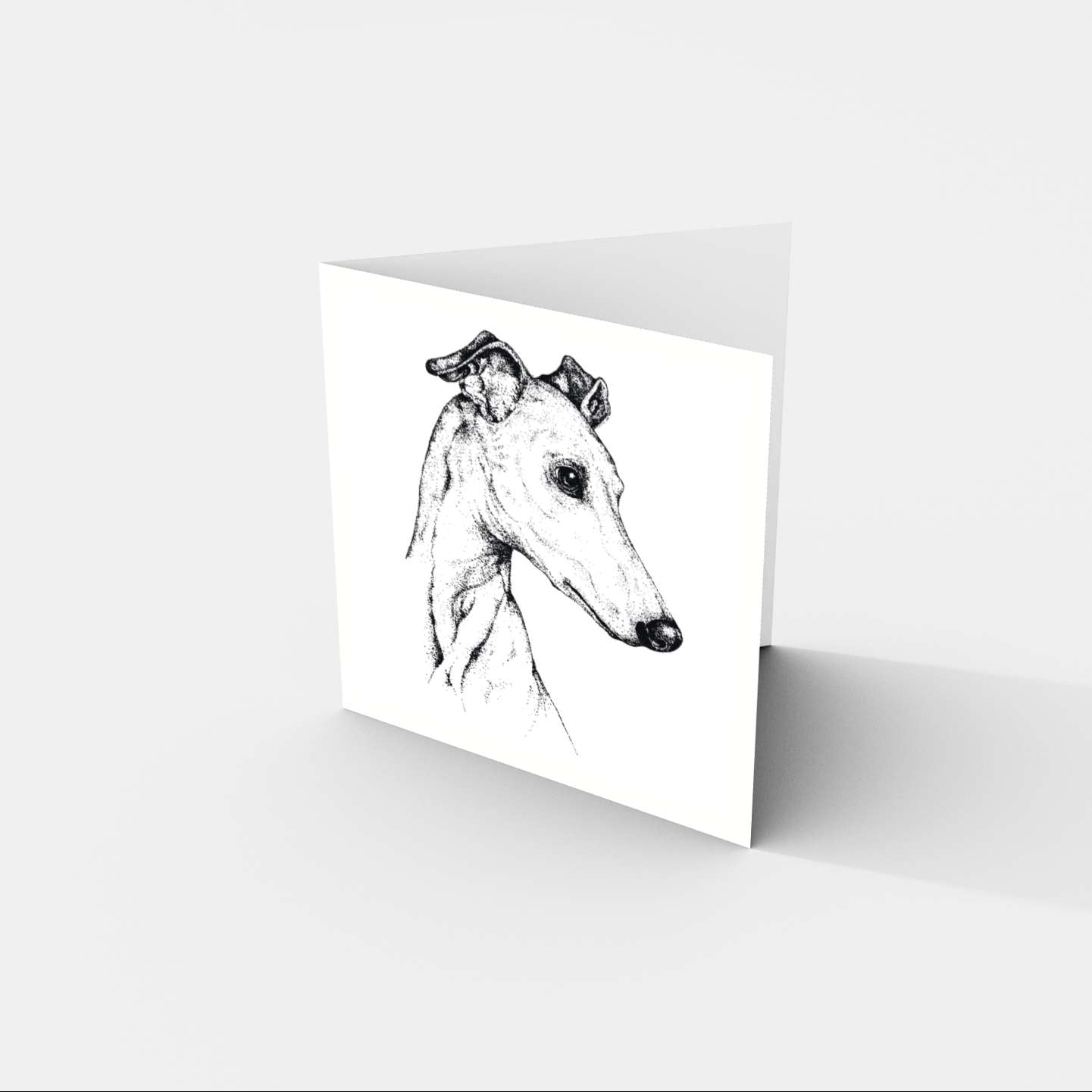 Gavia Greeting Card