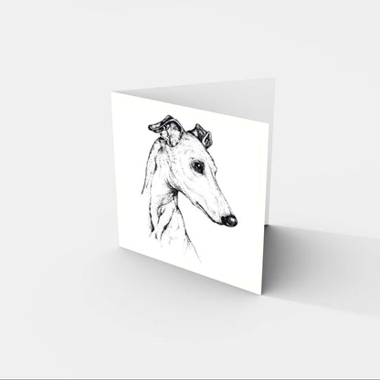 Gavia Greeting Card