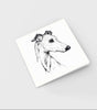 Gavia Greeting Card