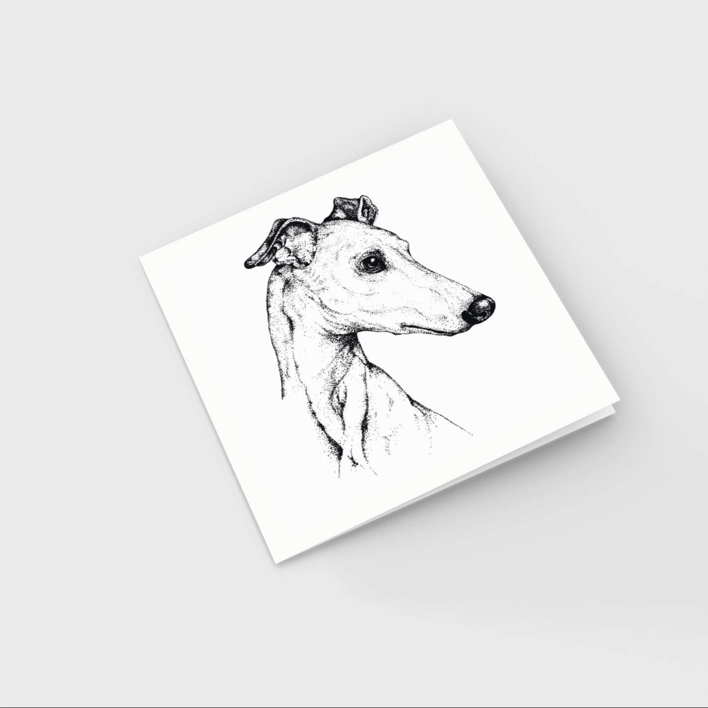 Gavia Greeting Card