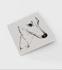 Picasso Greeting Card