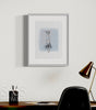 Winter Illustration